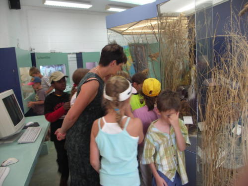 Saison musicale 2007-2008 Fa Si La Rentrée