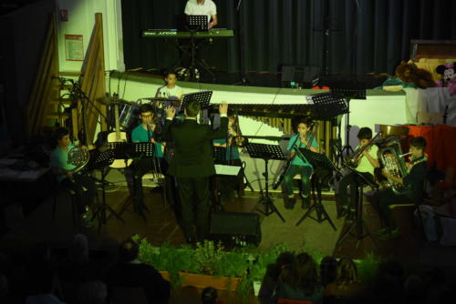 Saison 2018-2019 Spectacle "Dans le grenier de Disney"