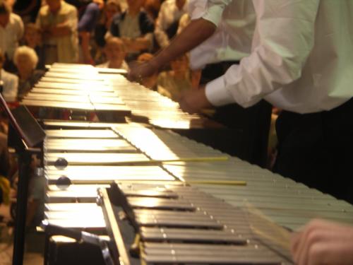 Saison 2010-2011 Colonie musicale Arcachon (33)